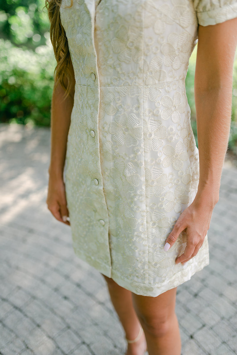 Vineet Dress